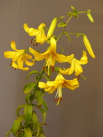 Foto: Dr. Peter Müller